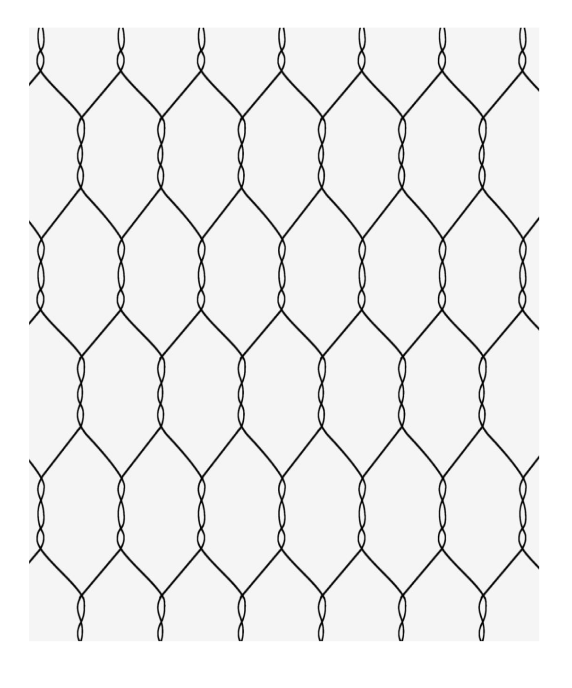 Hexagonal Wire Mesh
